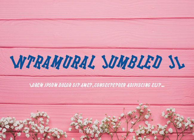 Intramural Jumbled JL example